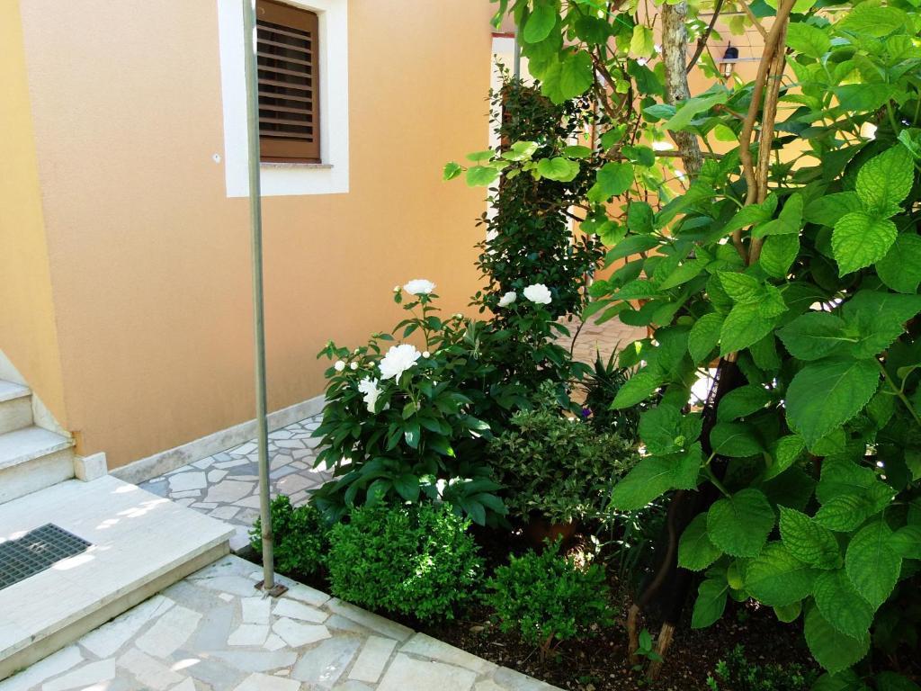 Apartments Beba Mali Lošinj Habitación foto