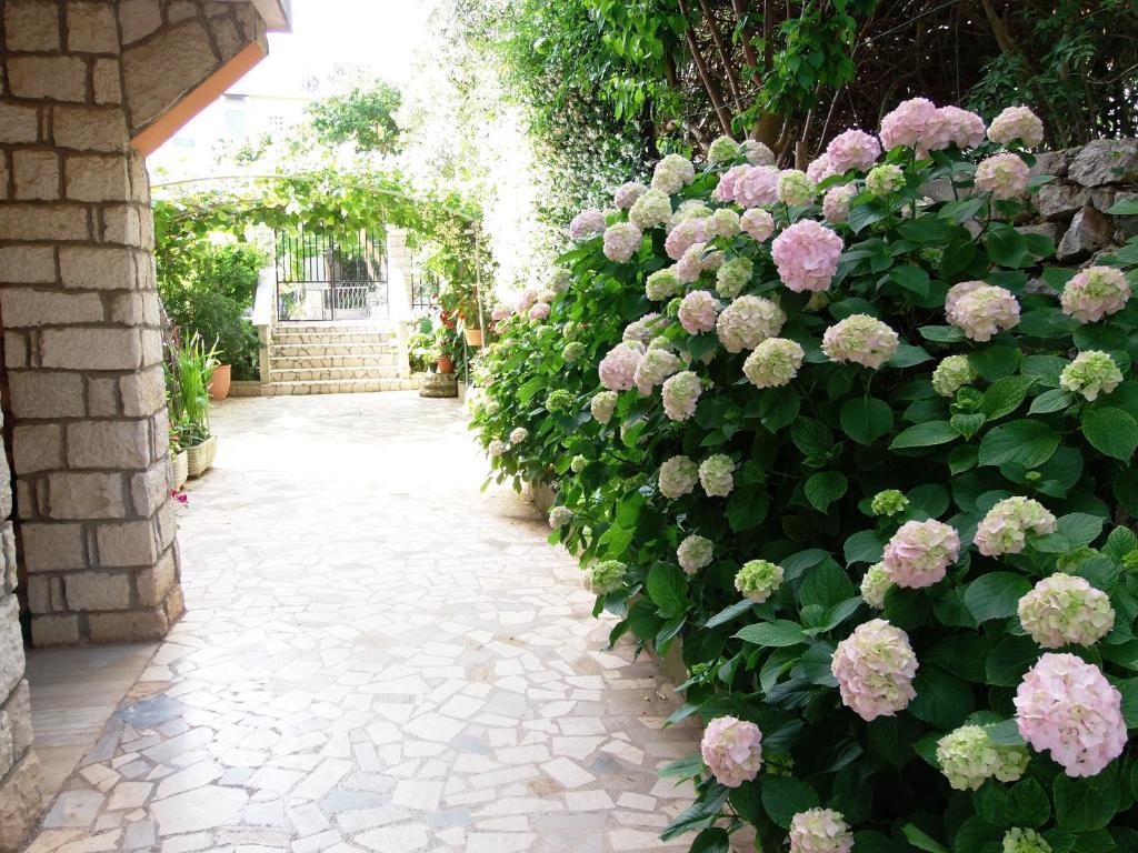 Apartments Beba Mali Lošinj Habitación foto