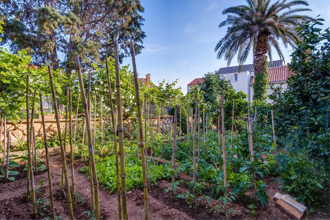 Apartments Beba Mali Lošinj Exterior foto